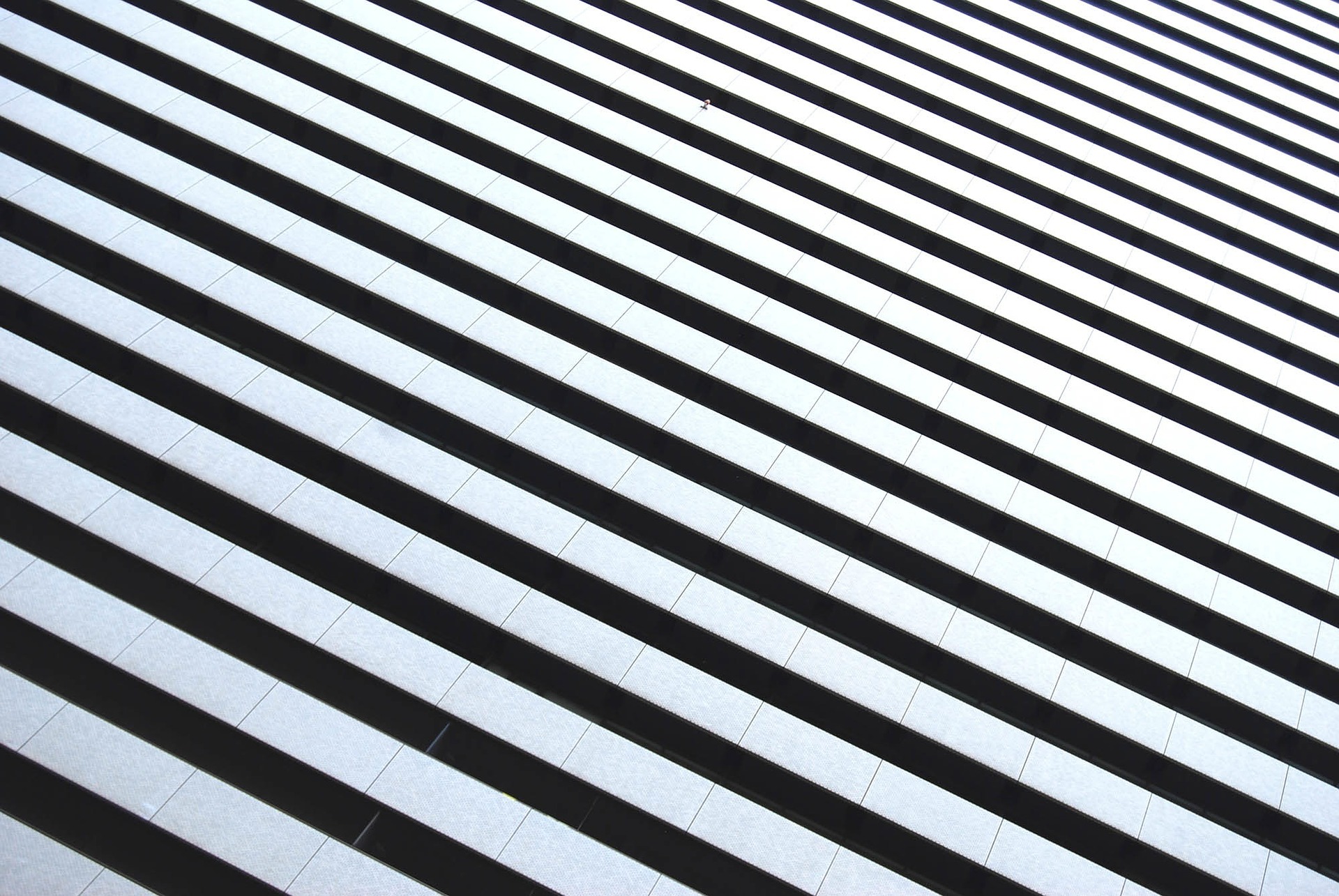 black and white striped pattern